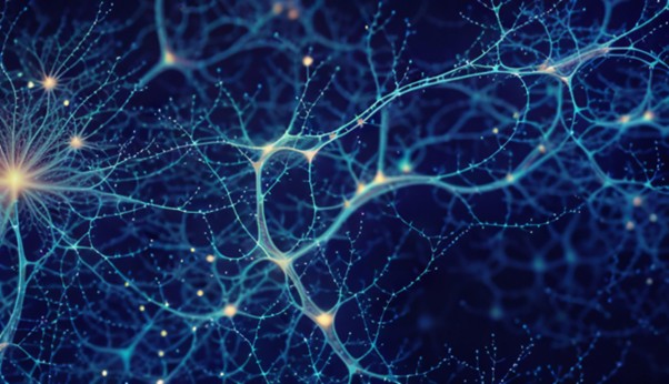 The Edge of Consciousness