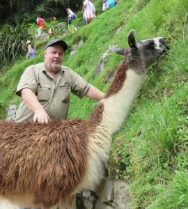 ANDES CONSERVATION